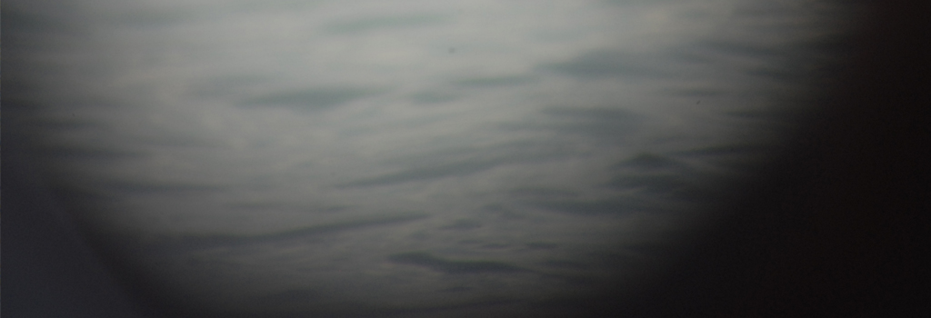 banner_web_04