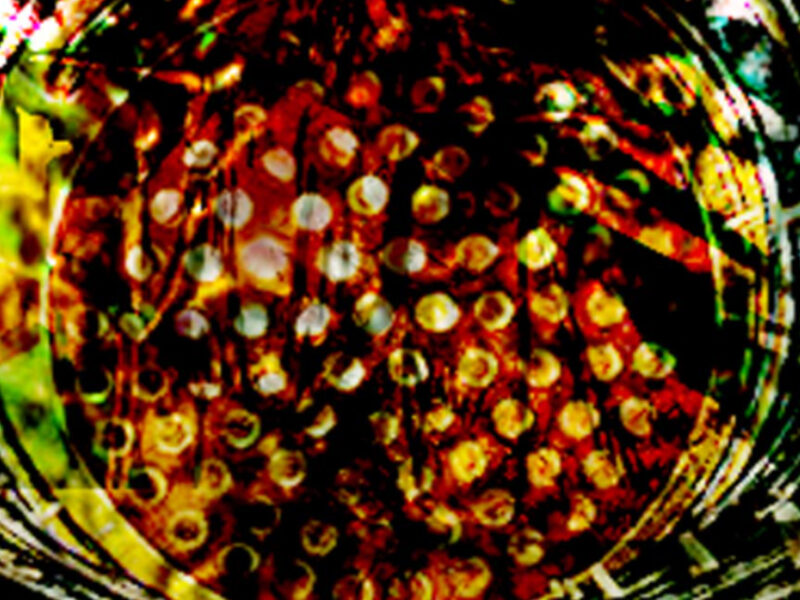Pixellandschaft