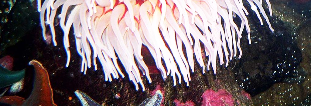 banner_web_22